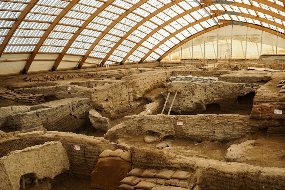 Amazonien Archäologie – Kostenloses Stock Foto zu alt, alte ruine, alte siedlungen