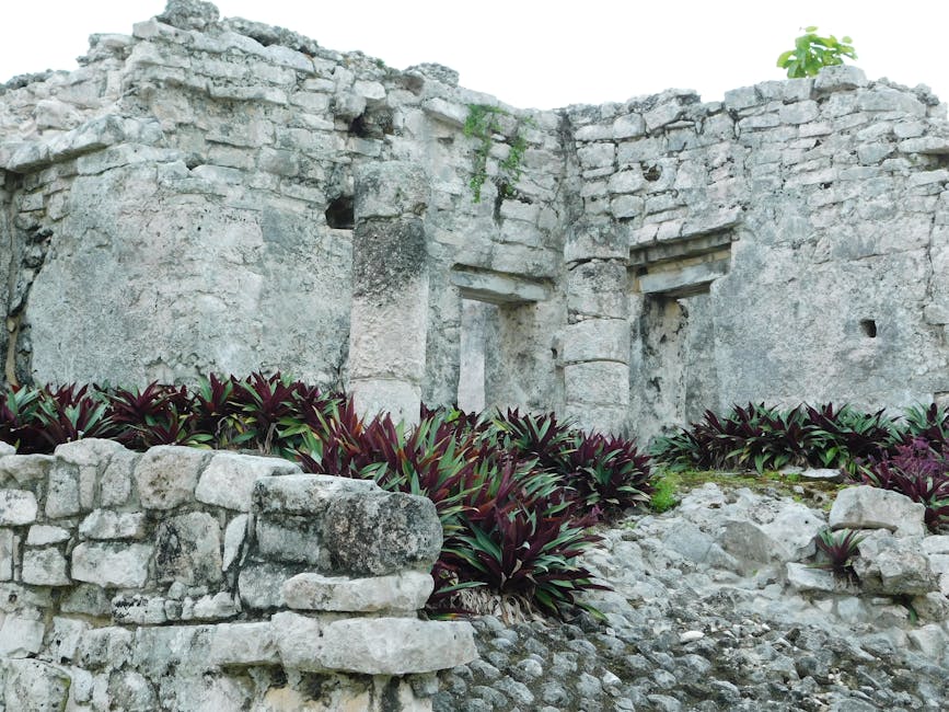 Aztec Ruins – Erkunden Sie antike Steinruinen, umgeben von üppiger Vegetation – perfekt für historische und archäologische…