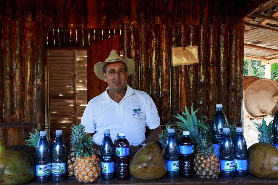 Caguana – Kostenloses Stock Foto zu @draussen, ananas, aromen