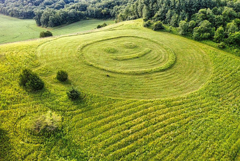 Geoglyphen Acre – Kostenloses Stock Foto zu aerial perspektive, agrarland, außerorts