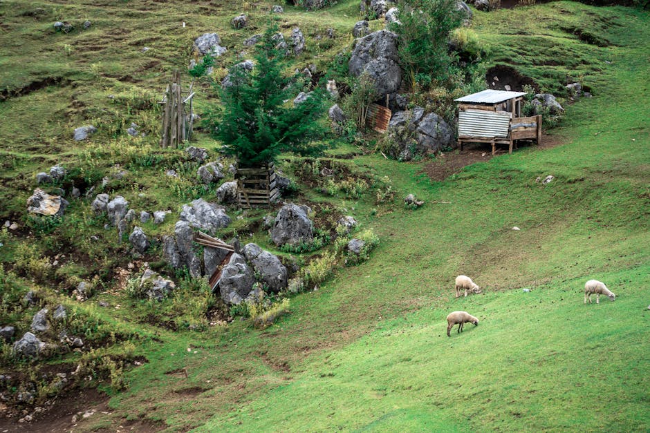 Sacsayhuamán: Inka-Festung über Cusco, Geschichte und Architektur – IAE-Bonn Magazin Sacsayhuamán: Inka-Festung über Cusco, Geschichte und Architektur