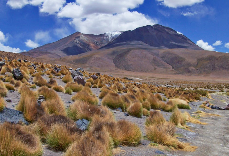 Potosí: Silberberg und Mit'a-Hölle im Andenraum Boliviens – Kostenloses Stock Foto zu @draussen, abenteuer, altiplano