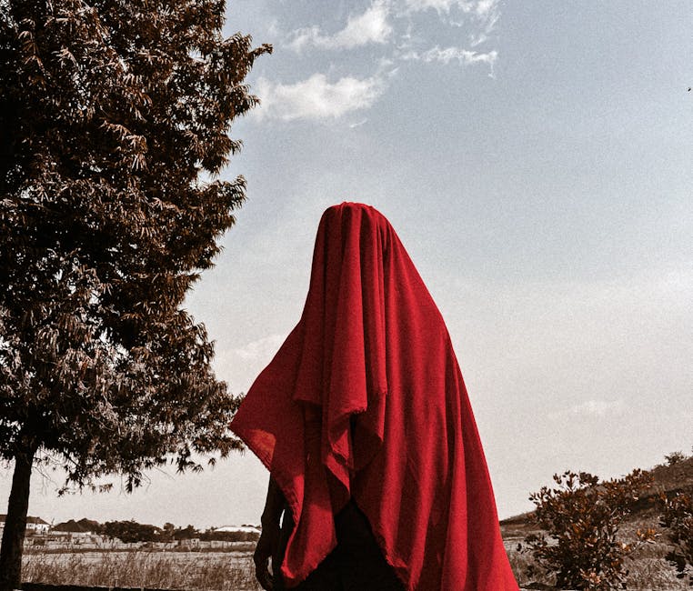 Rote Königin Palenque: Grab, Identität und Zinnober-Rätsel – Kostenloses Stock Foto zu anonym, anonymous, atmosphäre