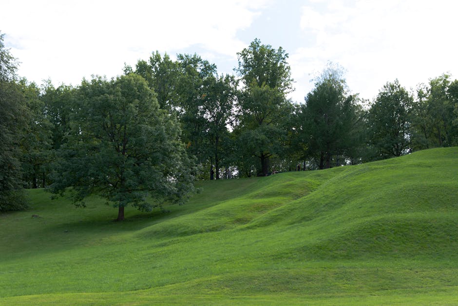 Serpent Mound – Kostenloses Stock Foto zu aufgeräumt, bäume, baumkrone