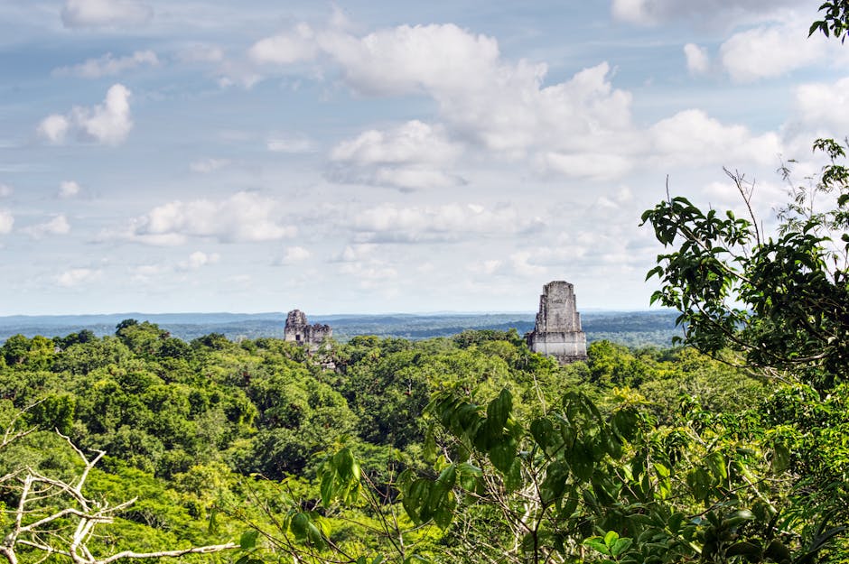 tikal tempel iv – Kostenloses Stock Foto zu abenteuer, alt, archäologie