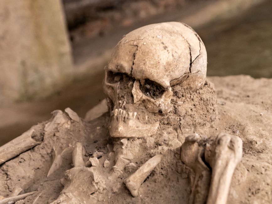 Aktuelle archäologische Funde 2024: Ein Überblick – Kostenloses Stock Foto zu alte zivilisation, altertümer, anthropologie