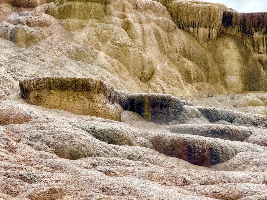 Ancient DNA: Genetische Geschichte Amerikas entschlüsselt – Kostenloses Stock Foto zu @draussen, abenteuer, amerikas natio…