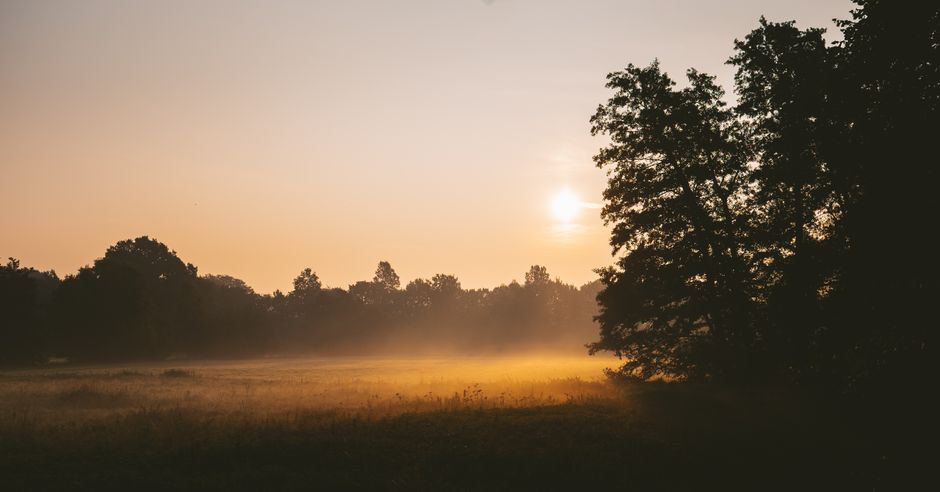 Dawn of Everything: Graeber & Wengrow revolutionieren Geschichtsbild – Heiterer Sonnenaufgang über Nebligem Feld