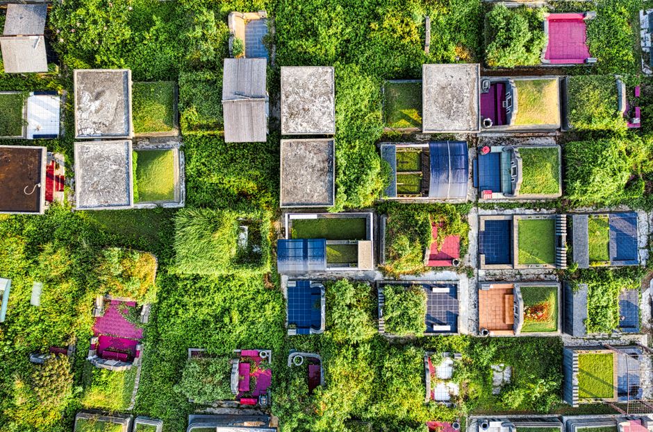Dawn of Everything: Graeber & Wengrow revolutionieren Geschichtsbild – Kostenloses Stock Foto zu asien, außen landscha…