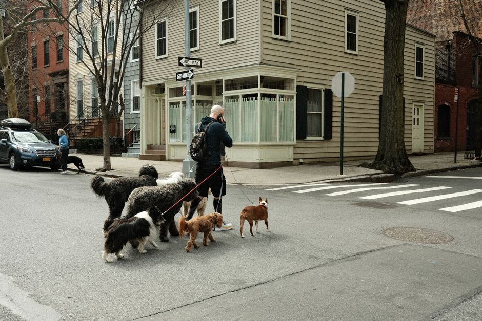 Reservation Dogs: Die FX-Serie revolutioniert indigene Repräsentation – IAE-Bonn Magazin Reservation Dogs: Die FX-Serie revolutioniert indigene Repräsentation
