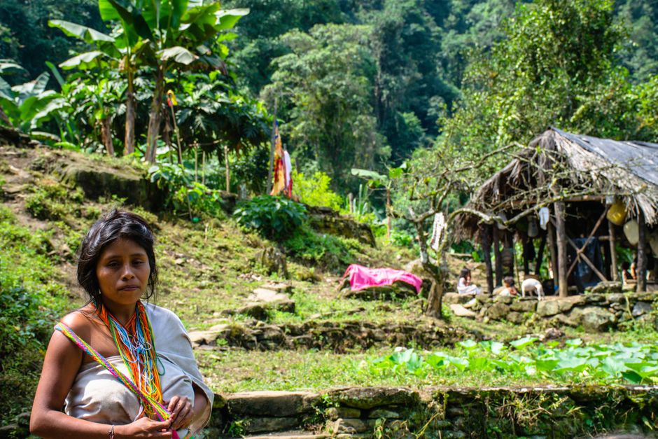 Indigener Feminismus: Land, Souveränität und Gemeinschaft – Kostenloses Stock Foto zu abgelegenes dorf, amazonas wald, ban…