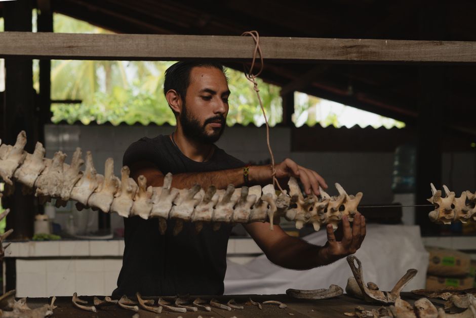 Michael Heckenberger: Pionier der Xingu-Archäologie – Kostenloses Stock Foto zu #indoor, analyse, archäologie