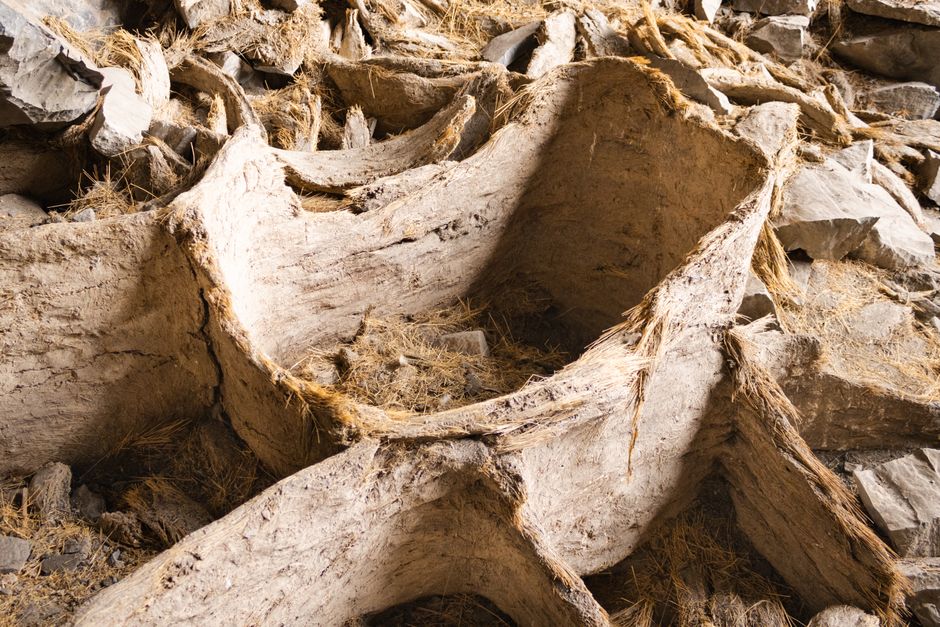 Rafael Larco Hoyle: Pionier der Moche-Forschung in Peru – Kostenloses Stock Foto zu ahnengeschichte, akademische forschung…