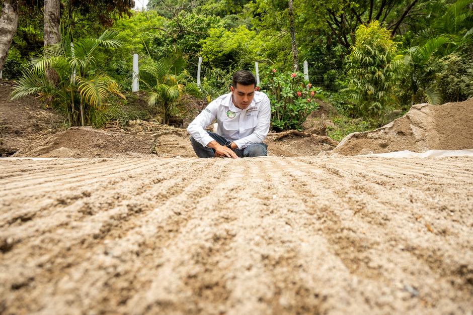 Richard Hansen: Pionier der El-Mirador-Forschung in Guatemala – Ein Mann untersucht im Garten, umgeben von üppigem Grün, p…