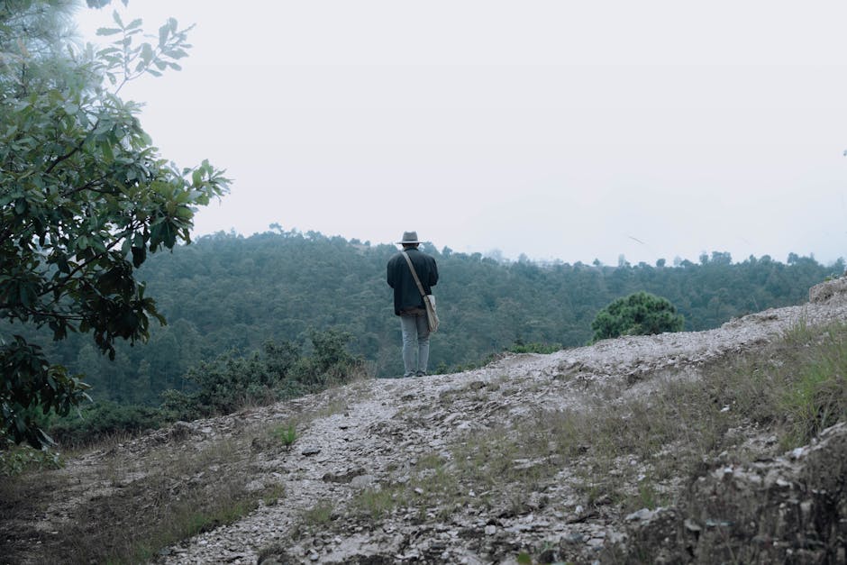 Richard Hansen: Pionier der El-Mirador-Forschung in Guatemala – Kostenloses Stock Foto zu @draussen, abenteuer, außerorts