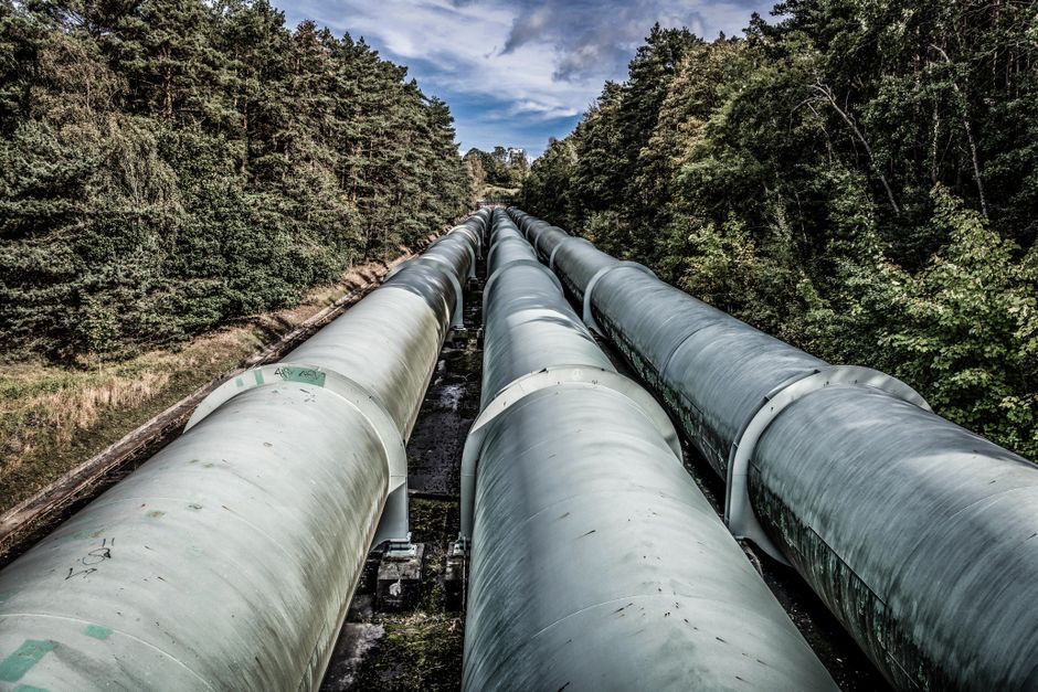 Standing Rock 2024: Aktueller Stand der Pipeline-Klage – Kostenloses Stock Foto zu @draussen, auslassen, bäume
