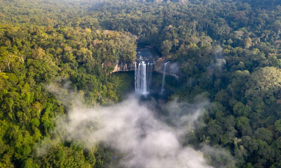 Sturz Himmels: Davi Kopenawas Yanomami-Kosmologie & Kritik – Kostenloses Stock Foto zu abenteuer, bäume, draußen