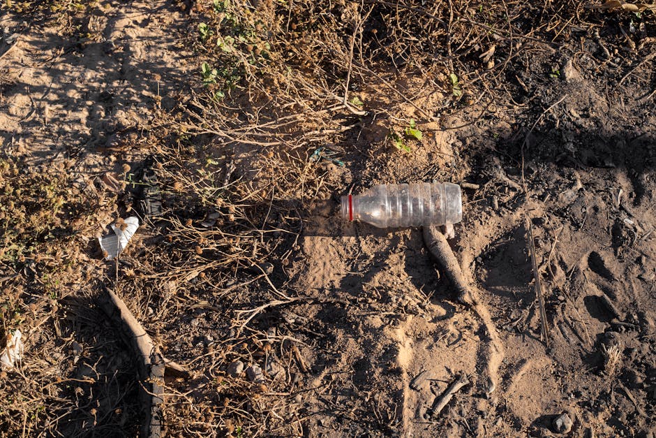 Terra Preta: Anthropogene Schwarzerde im Amazonasgebiet – Kostenloses Stock Foto zu abfall, anthropogen, aufräumen