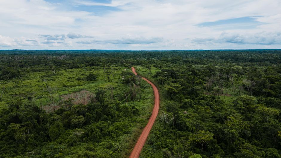 Terra Preta: Anthropogene Schwarzerde im Amazonasgebiet – Kostenloses Stock Foto zu @draussen, abenteuer, afrika