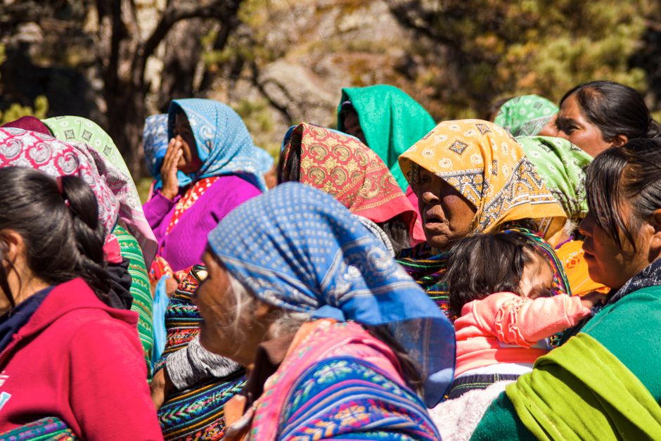 Traditional Ecological Knowledge (TEK): Indigenes Wissen für die Zukunft – Kostenloses Stock Foto zu abonnieren, bunt, chi…