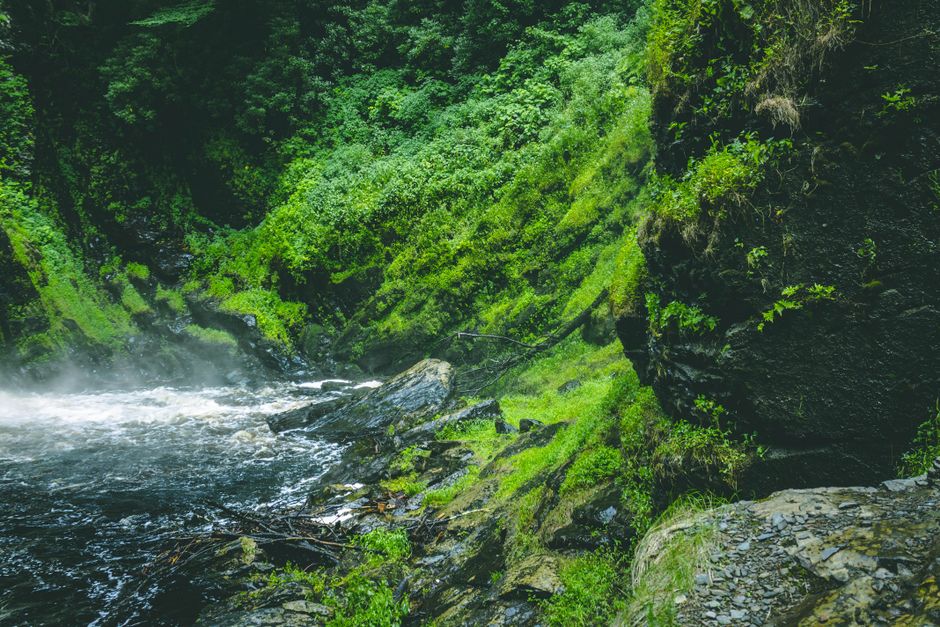 Amazon Paleoclimate: Geschichte des Klimas im Amazonas – Lebendiger grüner Regenwald mit Kaskadenwasserfall und nebeligem …
