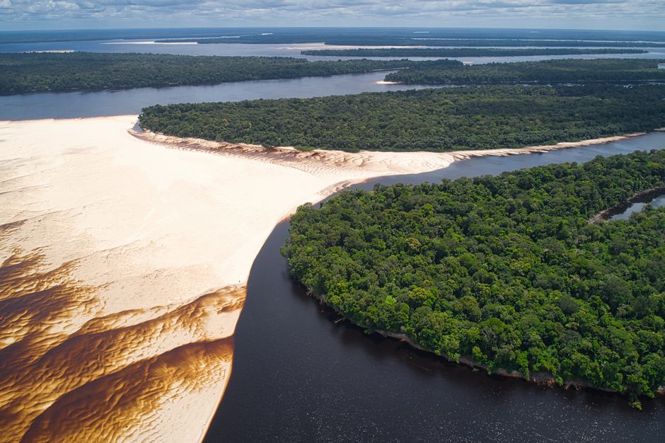 BR-319: Brasiliens Konfliktstraße im Amazonas-Gebiet – Kostenloses Stock Foto zu abenteuer, amazonas, amazonas-regenwald