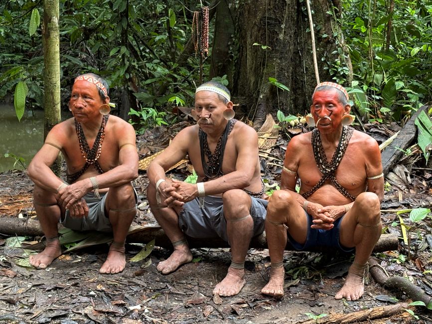 Kalapalo: Mythos, Kultur und Anthropologie im Xingu – Drei indigene Älteste sitzen im Amazonas-Regenwald und präsentieren …