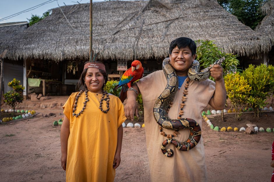 Peruanische Amazonas: Natur, Kultur und Herausforderungen – Kostenloses Stock Foto zu amazonas, ara, boa constrictor