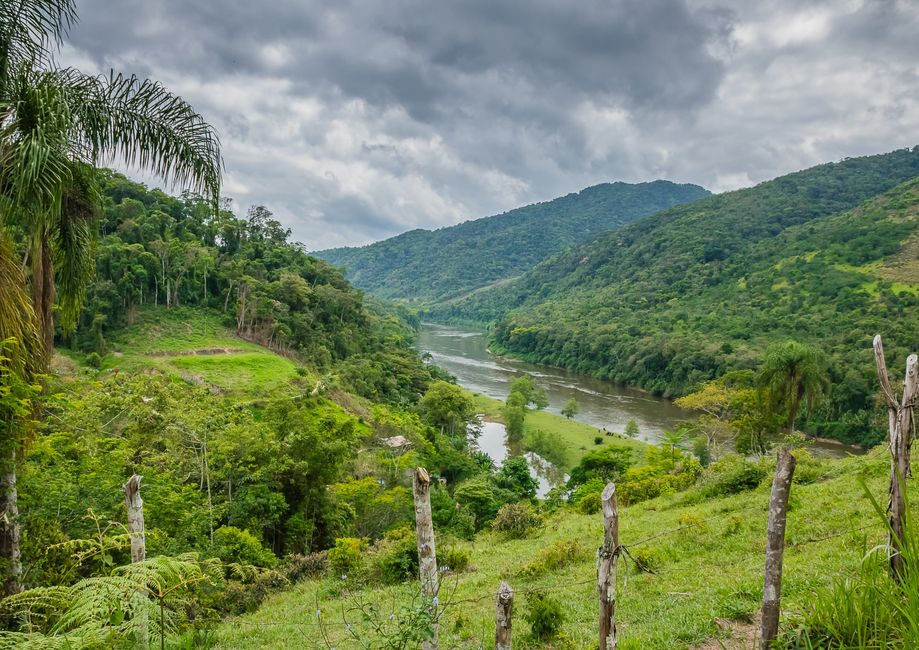 Zucker und Amazon: Brasiliens Süßhunger und der Regenwald – Kostenloses Stock Foto zu abenteuer, amazonas becken, aussicht
