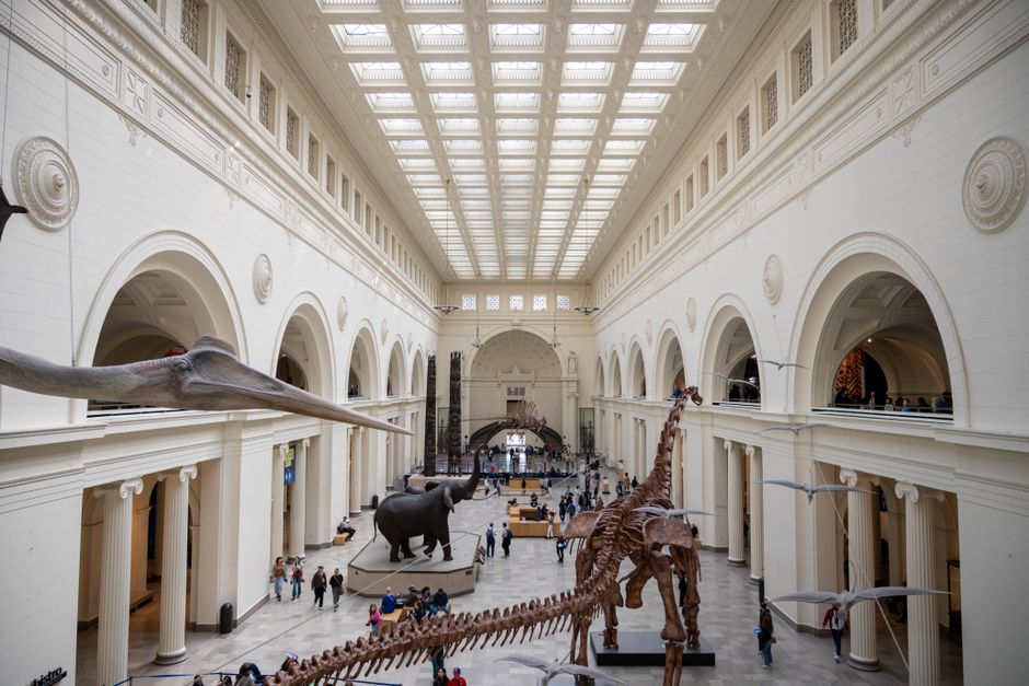 Field Museum Chicago: Ihr Guide zu präkolumbischer Kunst – Weitwinkelansicht von Dinosaurierskeletten im Field Museum, Chi…