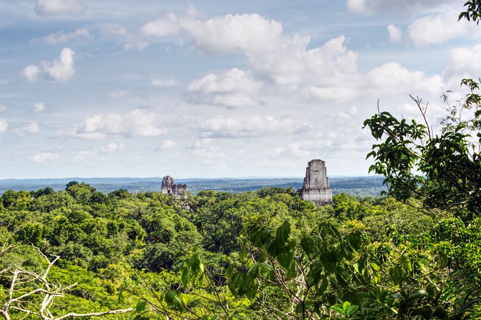 Tikal Reise: Ihr Guide für die Maya-Stätte in Guatemala – IAE-Bonn Magazin Tikal Reise: Ihr Guide für die Maya-Stätte in Guatemala