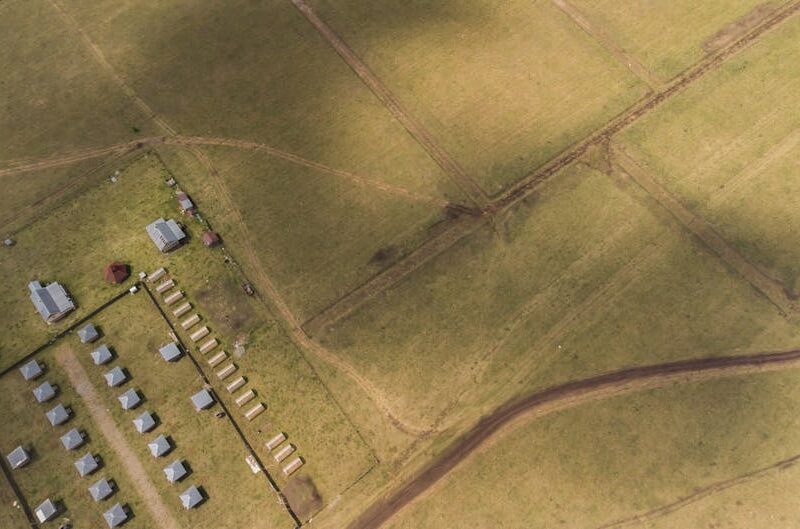 15.000 Einwohner: War Cahokia die größte Stadt Nordamerikas? – Kostenloses Stock Foto zu abgelegenen gegend, agrarland, al…