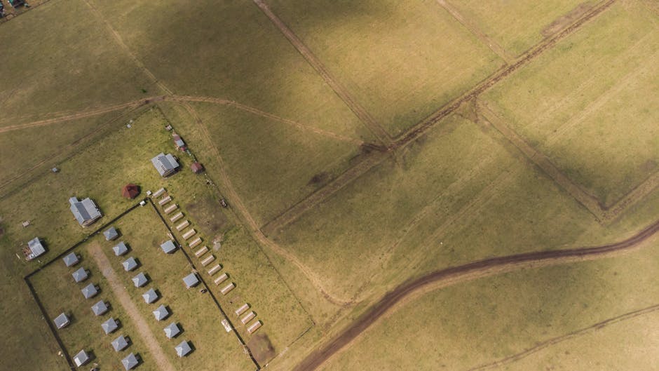 15.000 Einwohner: War Cahokia die größte Stadt Nordamerikas? – Kostenloses Stock Foto zu abgelegenen gegend, agrarland, al…
