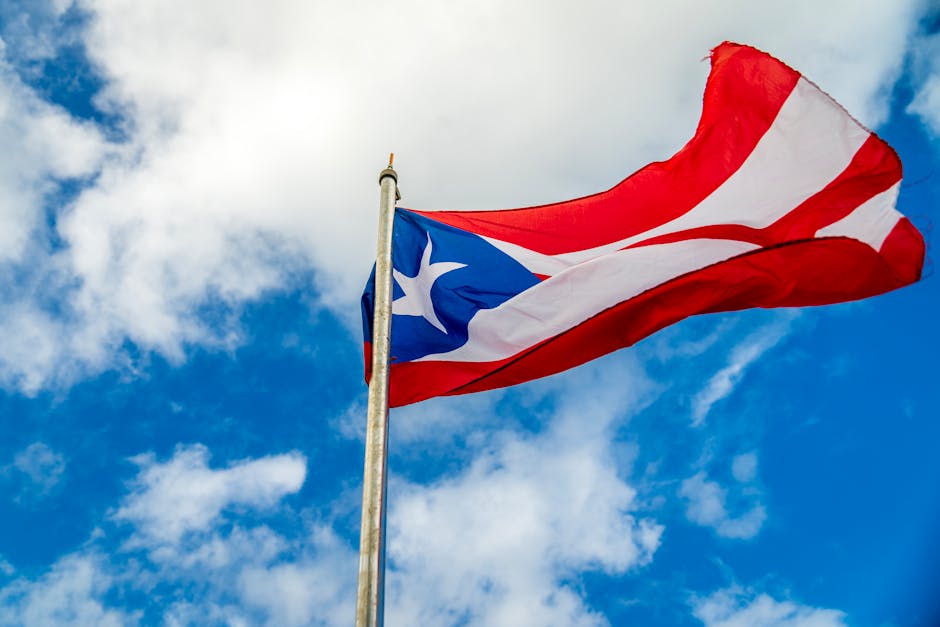 Caguana: Die Zeremonialstätte der Taíno auf Puerto Rico – Kostenloses Stock Foto zu amerikanisches territorium, aufnahme v…