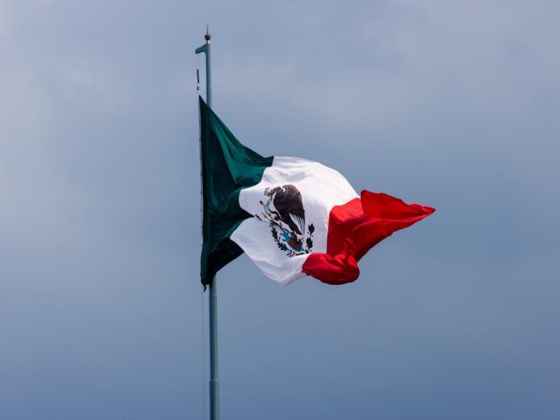 Der Aztekenadler: Symbol und Geschichte der mexikanischen Flagge – Kostenloses Stock Foto zu adler und schlange, atmosphär…