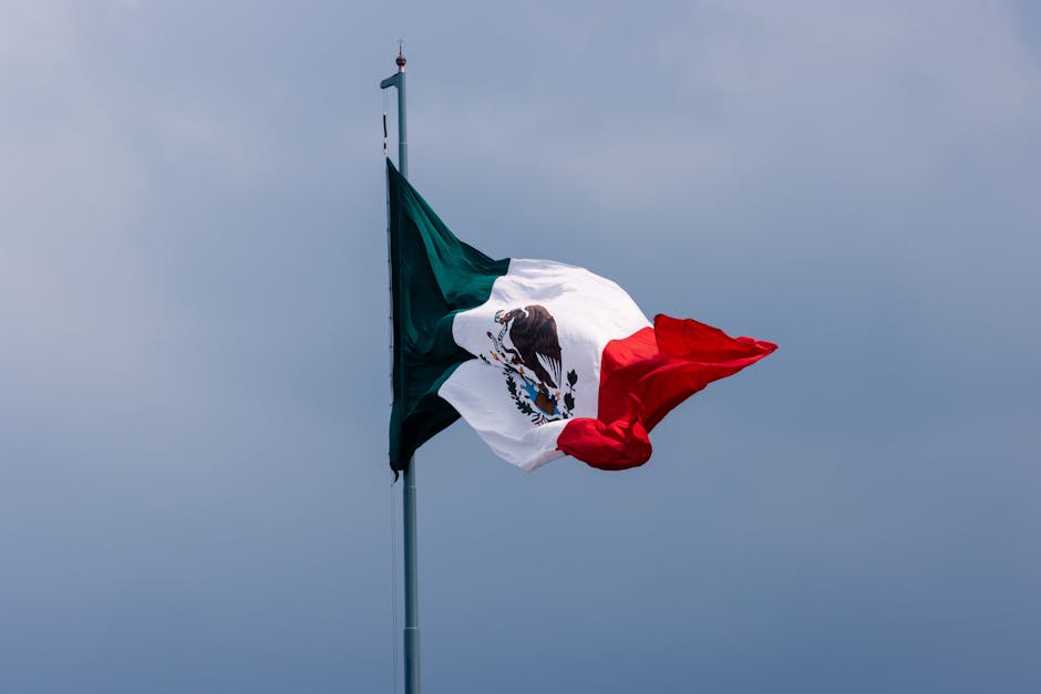 Der Aztekenadler: Symbol und Geschichte der mexikanischen Flagge – Kostenloses Stock Foto zu adler und schlange, atmosphär…