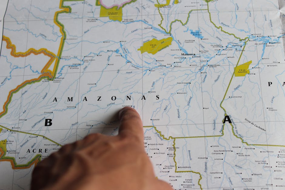 Der Genozid am Amazonas: 90% Tod nach Kontakt – Kostenloses Stock Foto zu abenteuer, amazonas, amazonas becken