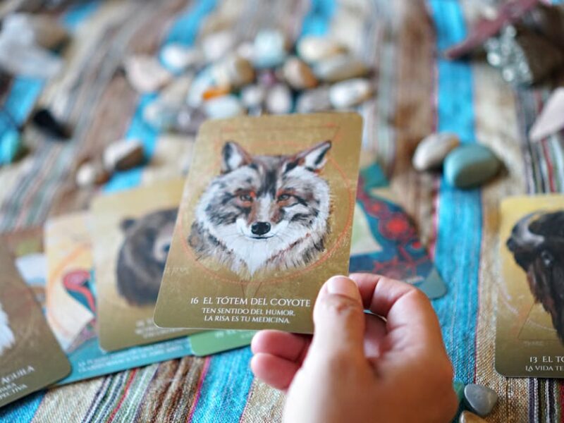 Der Werjaguar: Olmekische Ikonographie und Schamanismus – Nahaufnahme einer Hand, die eine Tarotkarte mit einem Kojote auf…