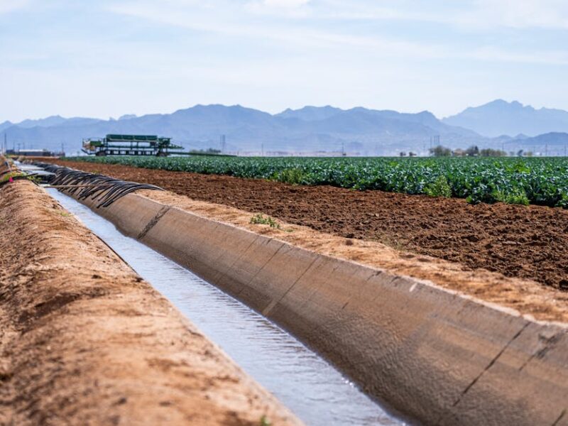 Die Hohokam: 1.500 km Bewässerungskanäle in Arizona – Kostenloses Stock Foto zu ackerland, anbau, außerorts