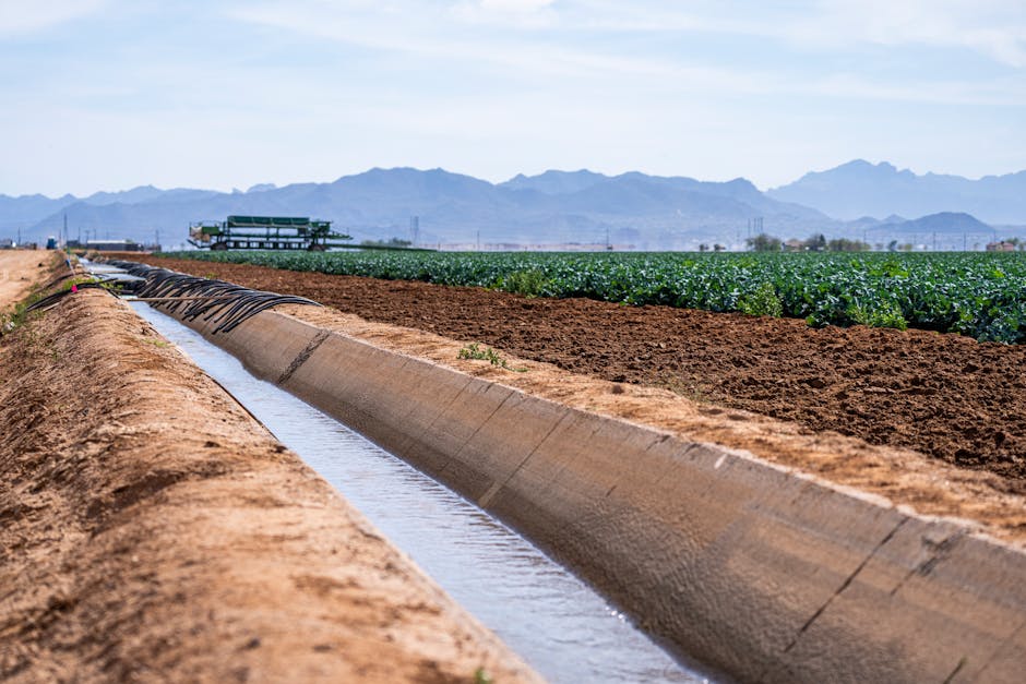 Die Hohokam: 1.500 km Bewässerungskanäle in Arizona – Kostenloses Stock Foto zu ackerland, anbau, außerorts