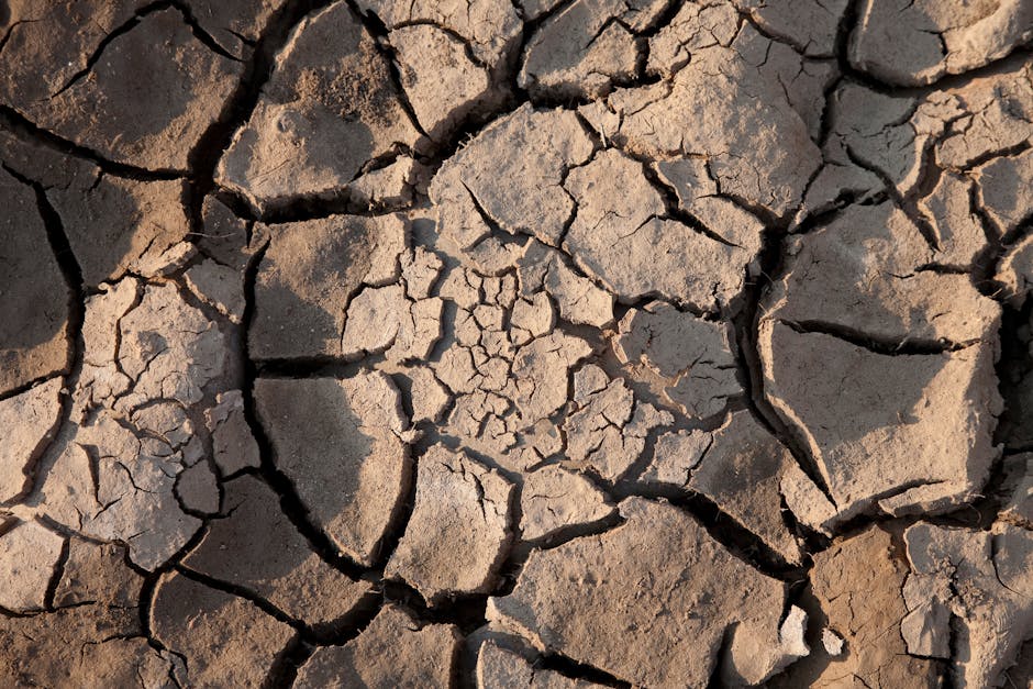 Dürre Maya Kollaps: Klimawandel und Untergang der klassischen Städte – Kostenloses Stock Foto zu aufsicht, ausgedörrt, boden