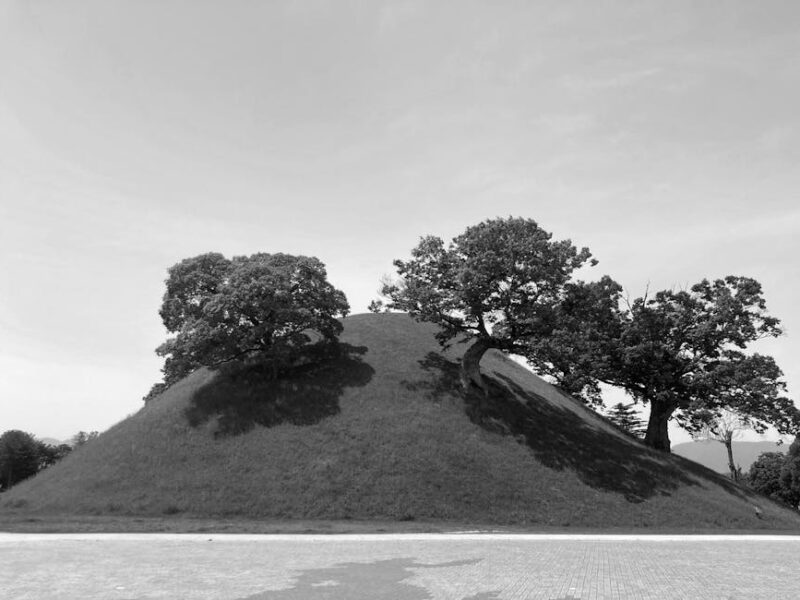 Etowah Mounds: Elite-Bestattungen in Georgia – Ruhiges Schwarzweißbild, das einen alten koreanischen Grabhügel zeigt, der …