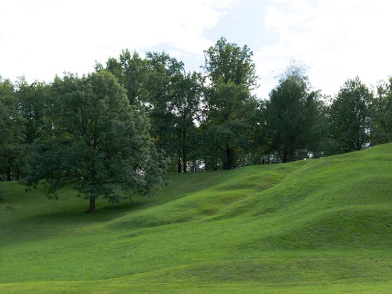 Hopewell Ceremonial Earthworks: UNESCO-Welterbe seit 2023 – Kostenloses Stock Foto zu aufgeräumt, bäume, baumkrone