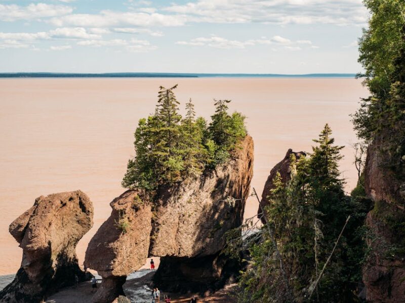 Hopewell-Objekte: Kupfer, Glimmer, Haifischzähne – Kostenloses Stock Foto zu atlantik kanada, bay von fundy, braunes wasser