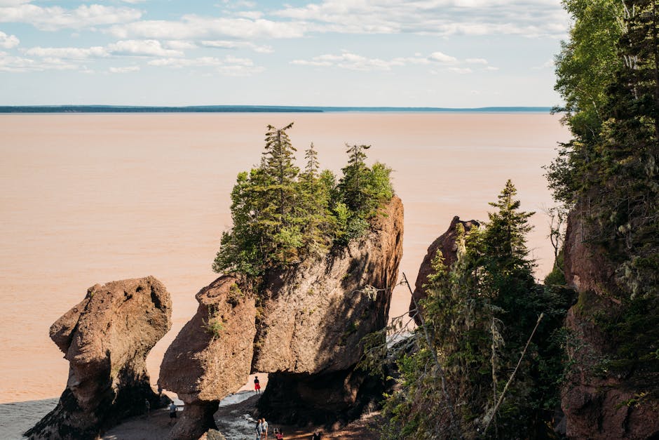 Hopewell-Objekte: Kupfer, Glimmer, Haifischzähne – Kostenloses Stock Foto zu atlantik kanada, bay von fundy, braunes wasser