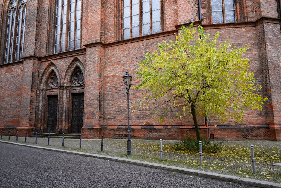 Chachapoya: Wolkenmenschen und die Festung Kuélap – IAE-Bonn Magazin Chachapoya: Wolkenmenschen und die Festung Kuélap