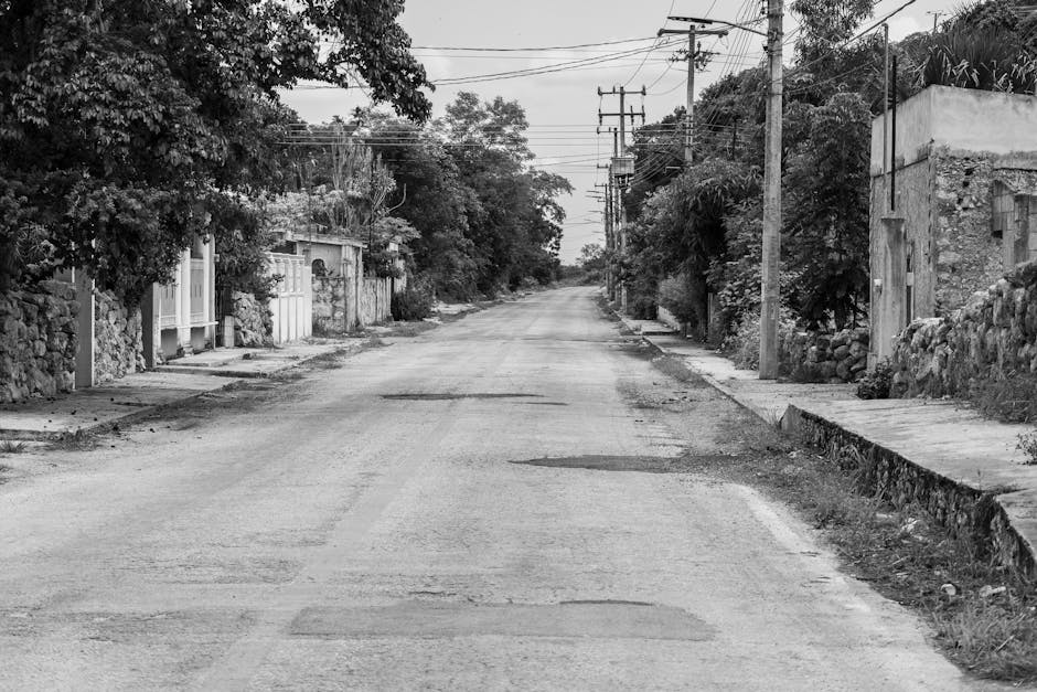 Copán Stelen: Meisterwerke der Maya-Kunst in Honduras