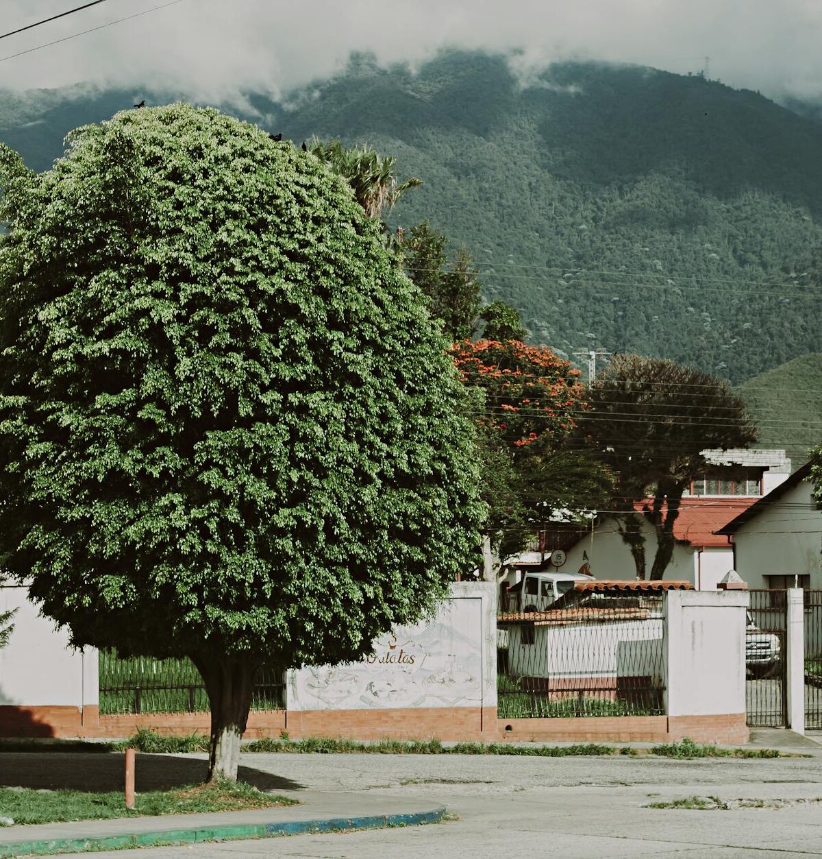 Copán Stelen: Meisterwerke der Maya-Kunst in Honduras