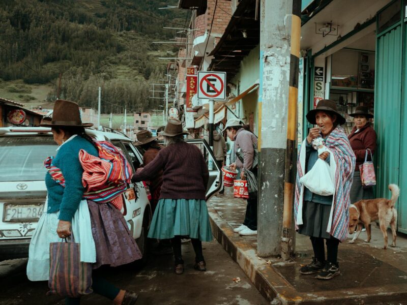 Indigene Sprachen Mexikos: Status, Bedrohung und Sprachenpolitik