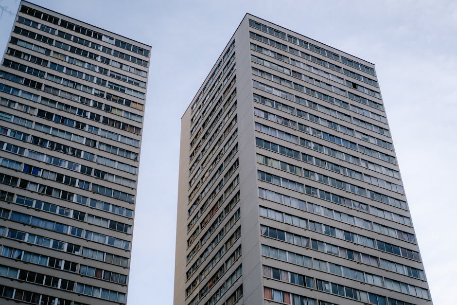 Maya-Kollaps: Ursachen des Untergangs klassischer Städte – IAE-Bonn Magazin Maya-Kollaps: Ursachen des Untergangs klassischer Städte